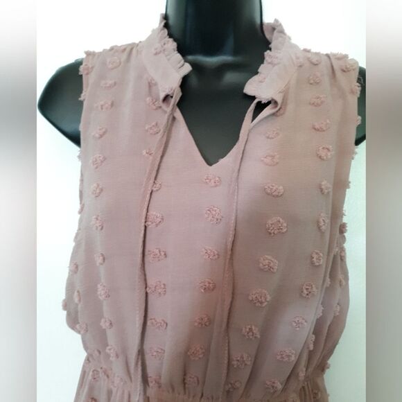 Sweet Wanderer swiss dot flounce dress - Picture 3 of 6